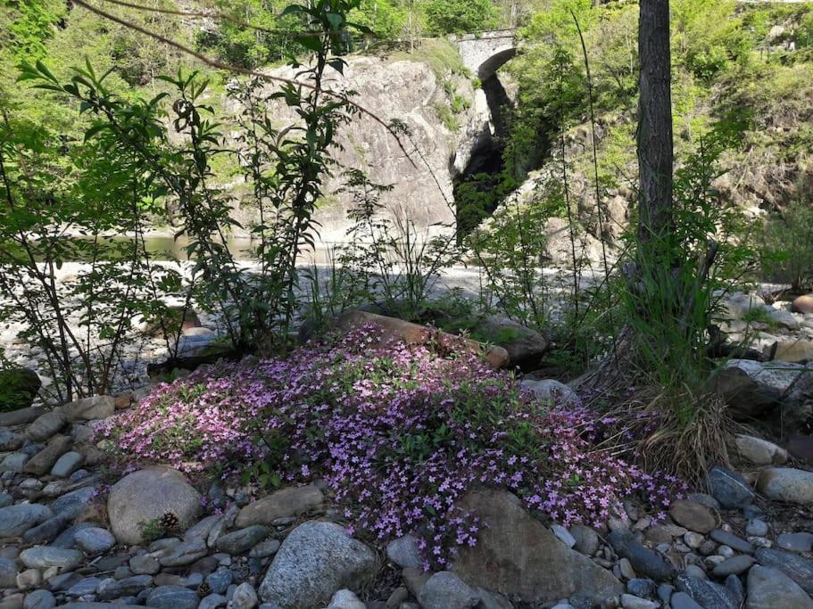 Appartamento La Meridiana A Traffiume Cannobio Kültér fotó